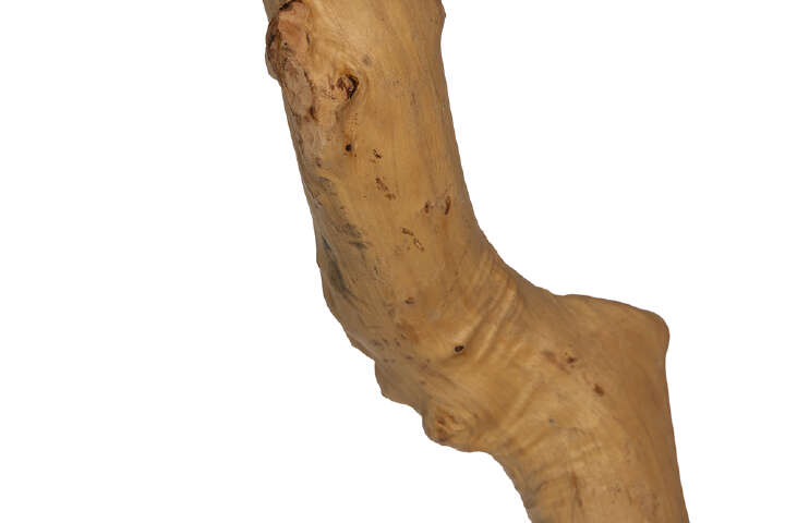 Designed by Lotte Kratzbaum Ziza